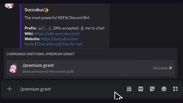 Discord command menu showing the Premium Server grant command